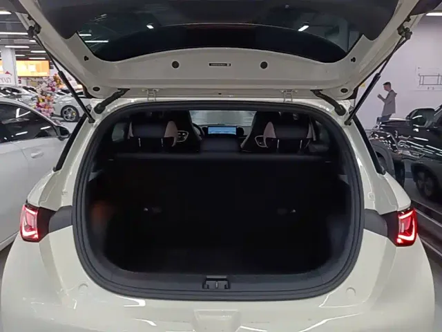 BYD Dolphin — Фото автомобиля 18