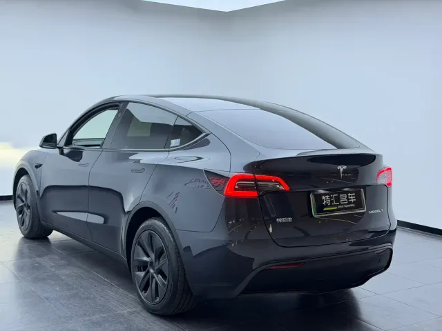 Tesla Model Y — Фото автомобиля 15