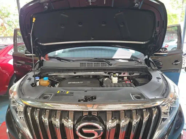 GAC Trumpchi M8 — Фото автомобиля 19
