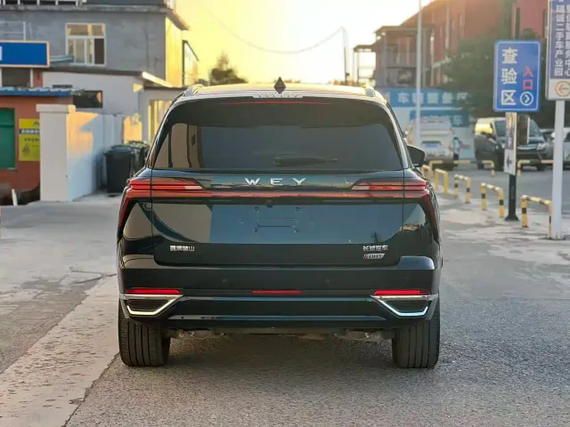 Wey Lanshan — Фото автомобиля 12