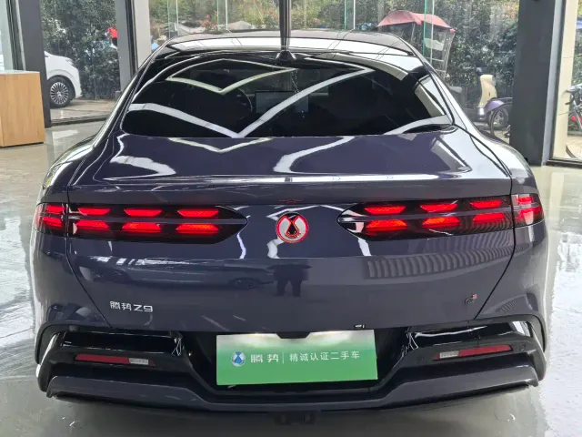 Denza Z9 — Фото автомобиля 13