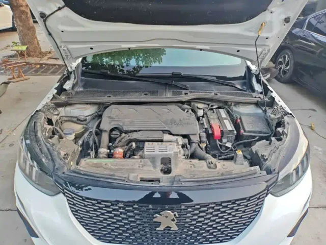 Peugeot 2008 — Фото автомобиля 19