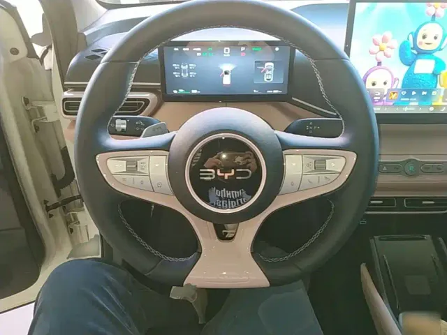 BYD Seagull — Фото автомобиля 10
