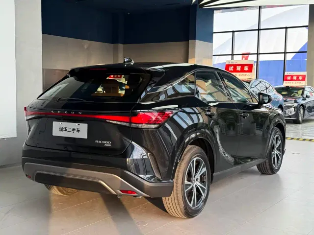 Lexus RX — Фото автомобиля 5