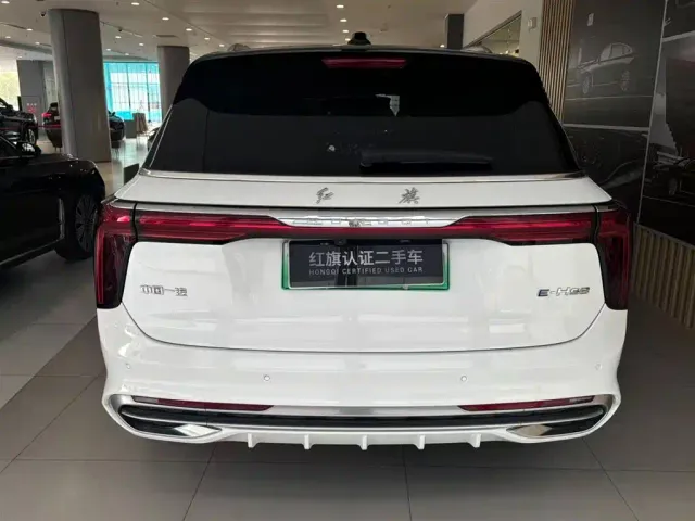 Hongqi E-HS9 — Фото автомобиля 2