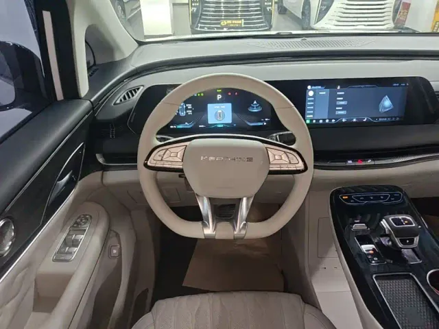 Forthing Xinghai V9 — Фото автомобиля 10