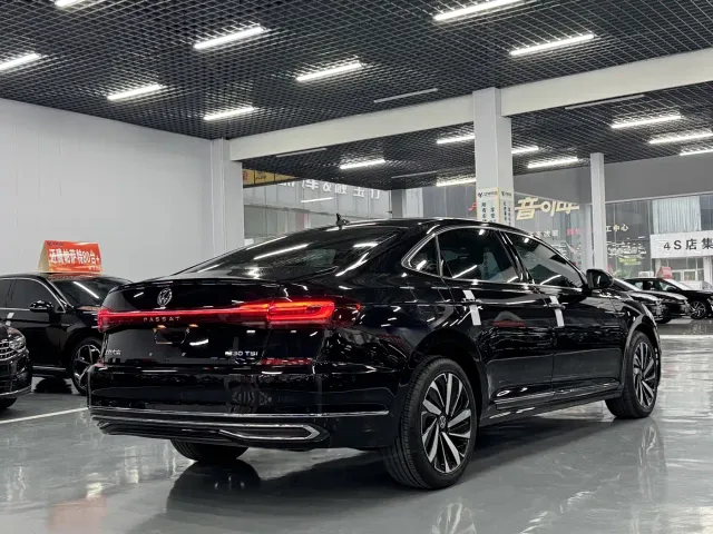 Volkswagen Passat — Фото автомобиля 10