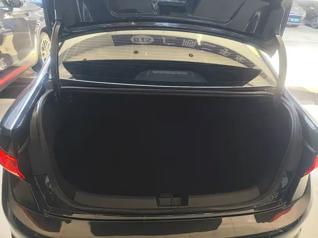 Volkswagen Sagitar — Фото автомобиля 18