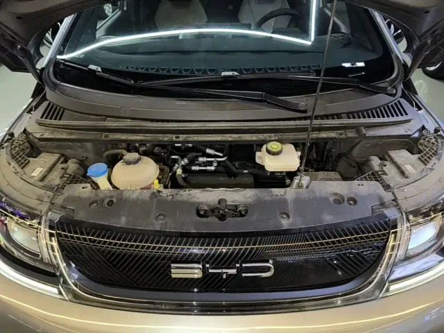 BYD Dolphin — Фото автомобиля 19