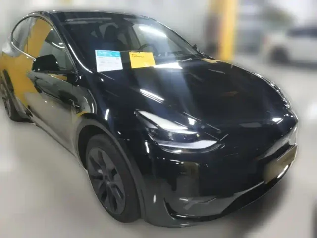 Tesla Model Y — Фото автомобиля 5