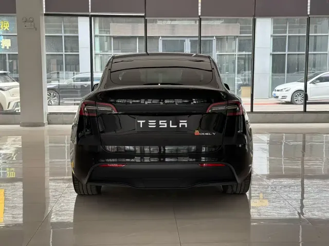 Tesla Model Y — Фото автомобиля 8