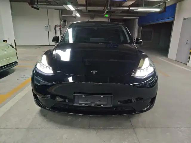 Tesla Model Y — Фото автомобиля 2