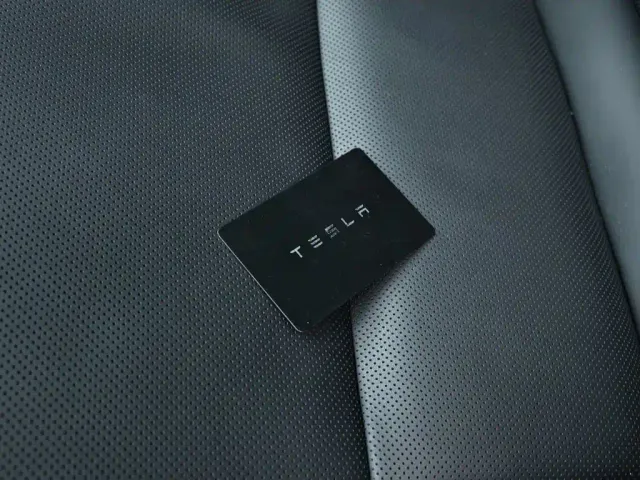 Tesla Model 3 — Фото автомобиля 7