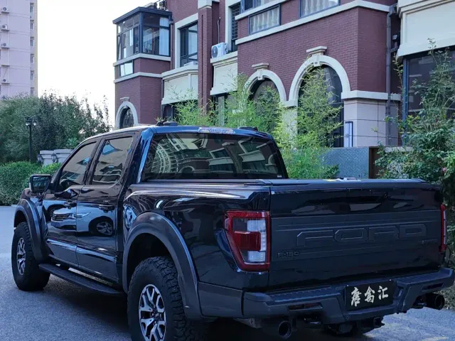 Ford F-150 Raptor — Фото автомобиля 8