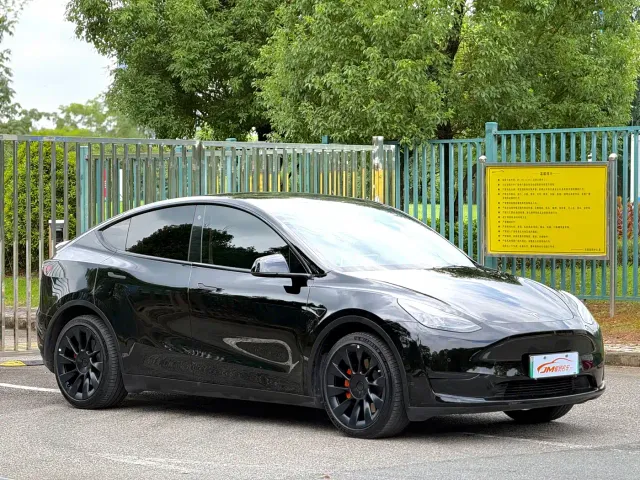 Tesla Model Y — Фото автомобиля 3