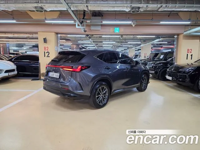 Lexus NX NX450h+ 2nd Gen — Фото автомобиля 2