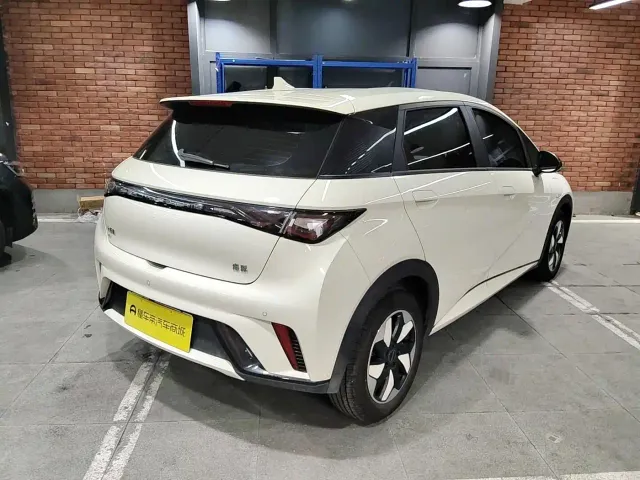BYD Dolphin — Фото автомобиля 4