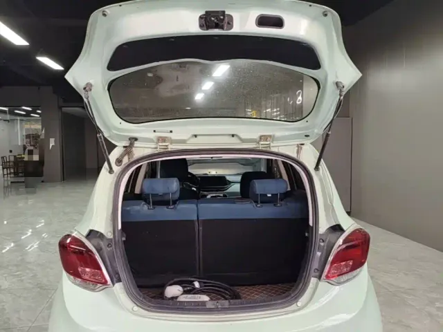 Changan Benben E-Star — Фото автомобиля 18