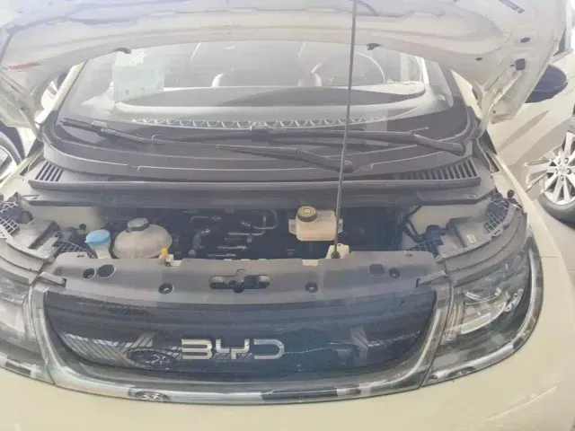 BYD Dolphin — Фото автомобиля 3