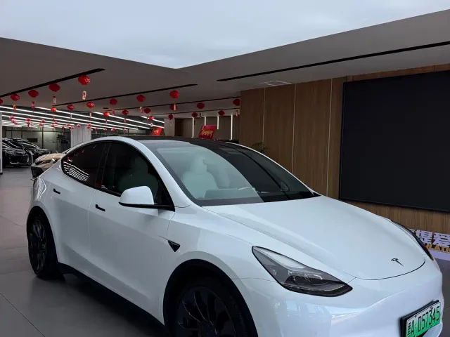 Tesla Model Y — Фото автомобиля 2