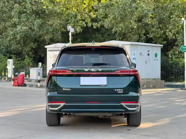 Wey Lanshan — Фото автомобиля 9
