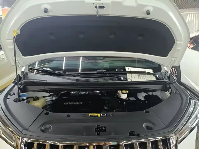 GAC Trumpchi M8 — Фото автомобиля 19