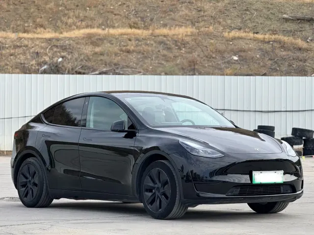 Tesla Model Y — Фото автомобиля 3