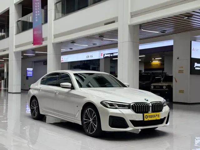 BMW 5 Series — Фото автомобиля 3