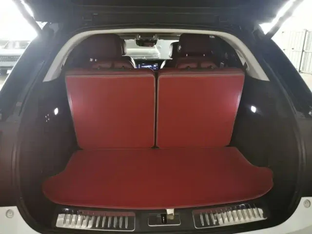 Hongqi E-HS9 — Фото автомобиля 18