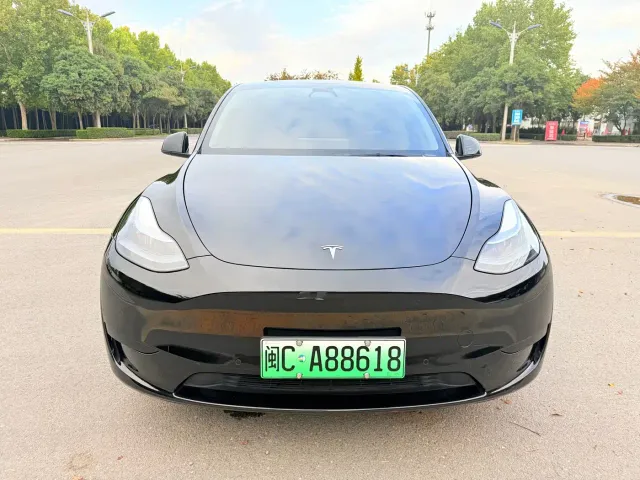 Tesla Model Y — Фото автомобиля 2