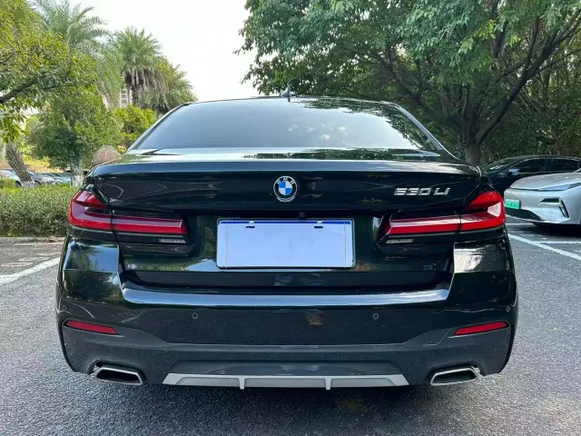 BMW 5 Series — Фото автомобиля 8