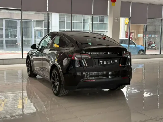 Tesla Model Y — Фото автомобиля 9