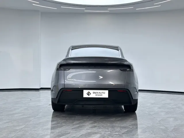 Tesla Model Y 2025 Facelift Long Range All-Wheel Drive — Фото автомобиля 5