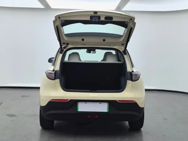 Geely Starry Wish — Фото автомобиля 12