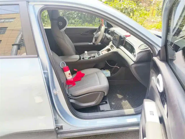 Geely Starry Wish — Фото автомобиля 13