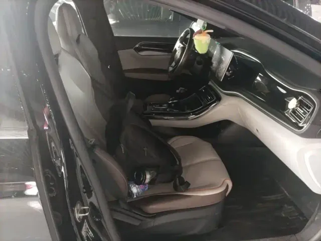 BYD Qin PLUS — Фото автомобиля 24