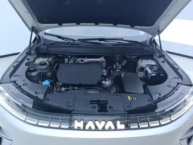 Haval Xiaolong MAX — Фото автомобиля 10