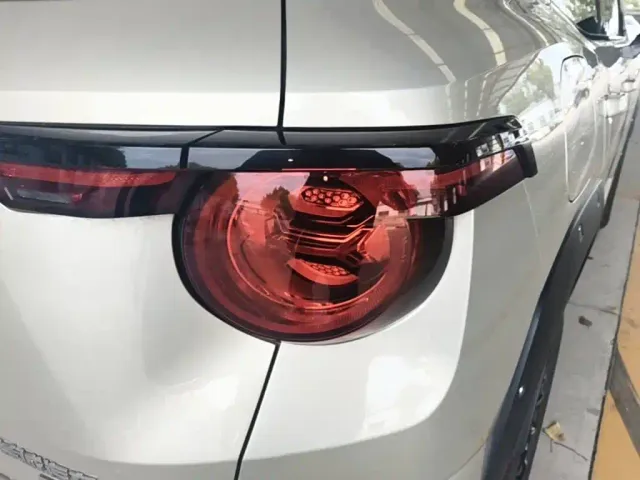 Haval Big Dog — Фото автомобиля 7