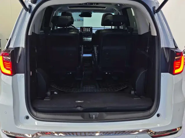Honda Elysion — Фото автомобиля 20