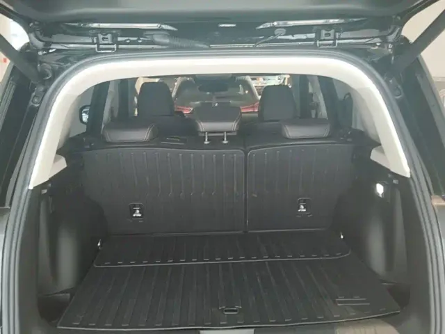 Haval Big Dog — Фото автомобиля 18