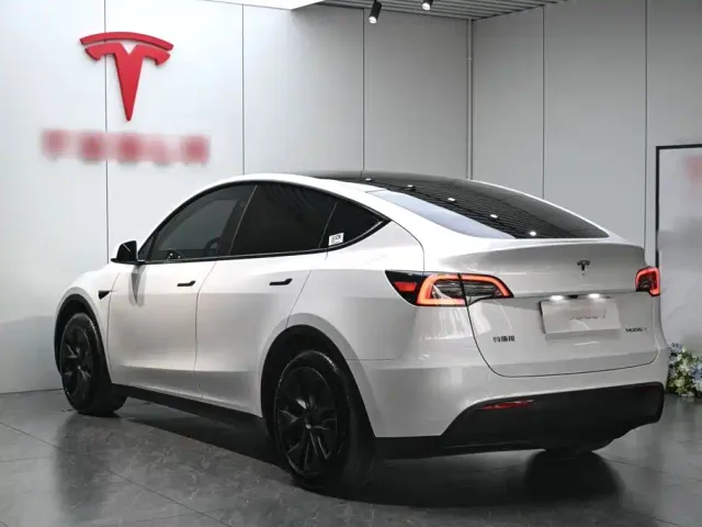 Tesla Model Y — Фото автомобиля 4