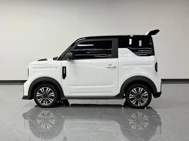 Geely Panda — Фото автомобиля 19