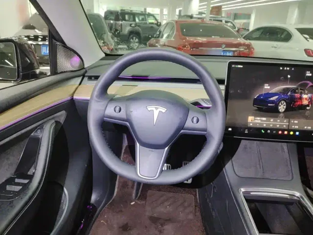 Tesla Model Y — Фото автомобиля 10