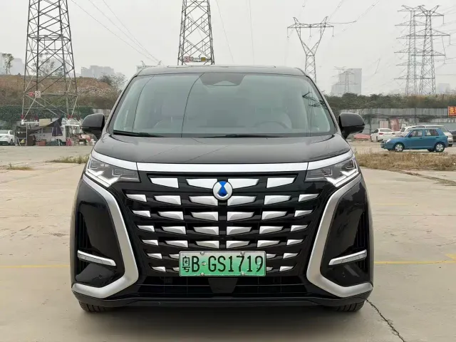 Denza D9 — Фото автомобиля 2