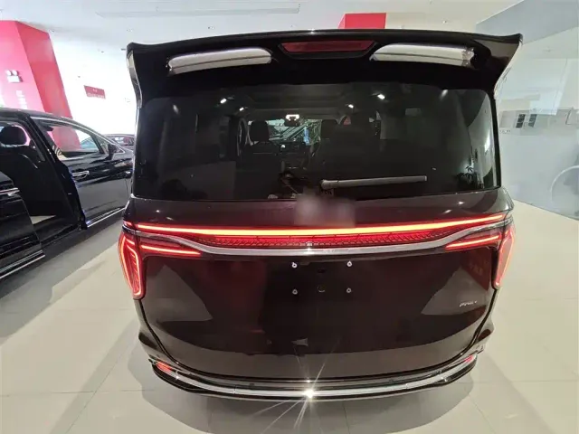 Hongqi HQ9 PHEV — Фото автомобиля 5