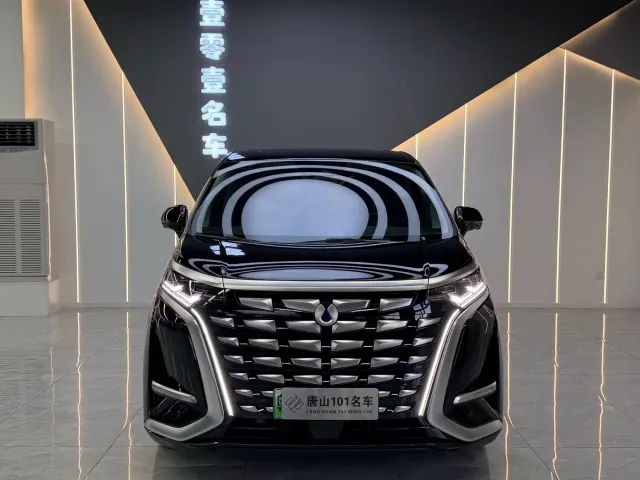 Denza D9 — Фото автомобиля 2