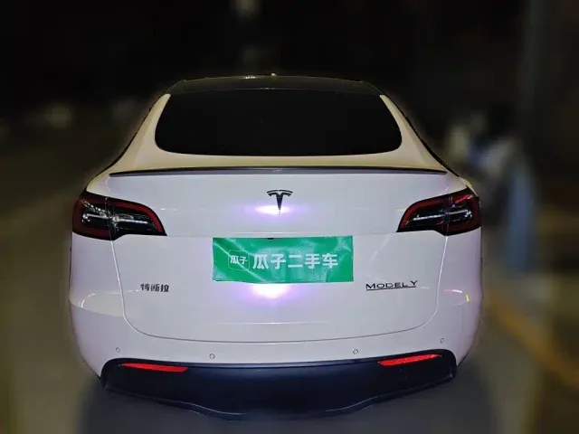 Tesla Model Y — Фото автомобиля 3