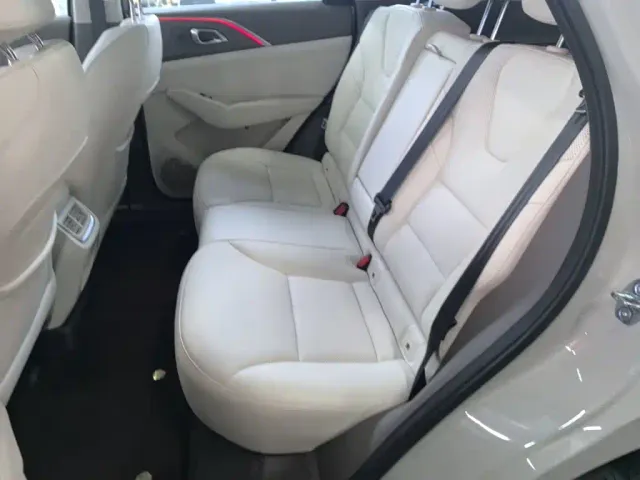 Haval Xiaolong MAX — Фото автомобиля 16
