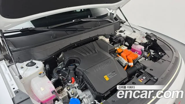 Hyundai Kona Kona Гибрид (SX2) Premium — Фото автомобиля 6