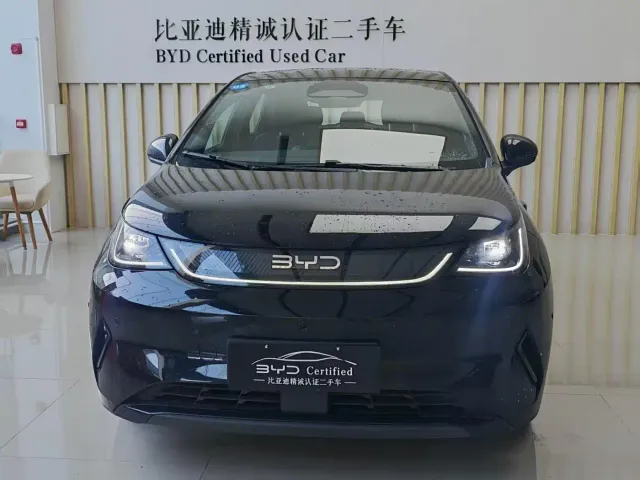 BYD Dolphin — Фото автомобиля 2